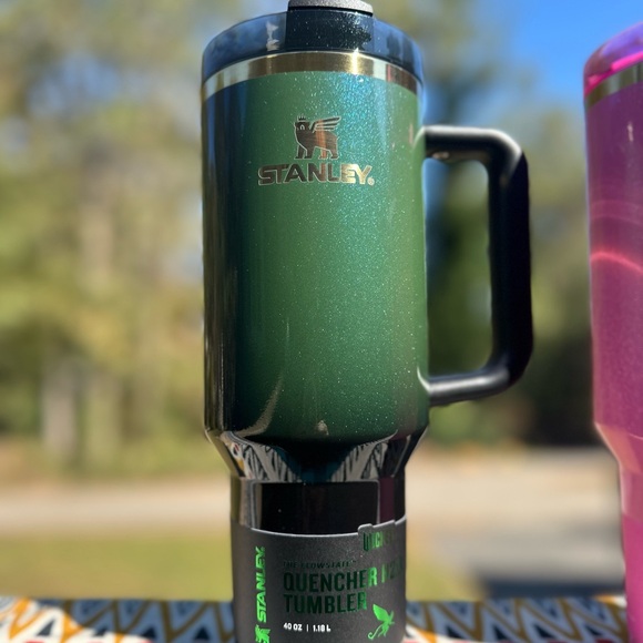 Wicked 40 oz Elphaba Stanley 💚🖤 - Picture 4 of 4